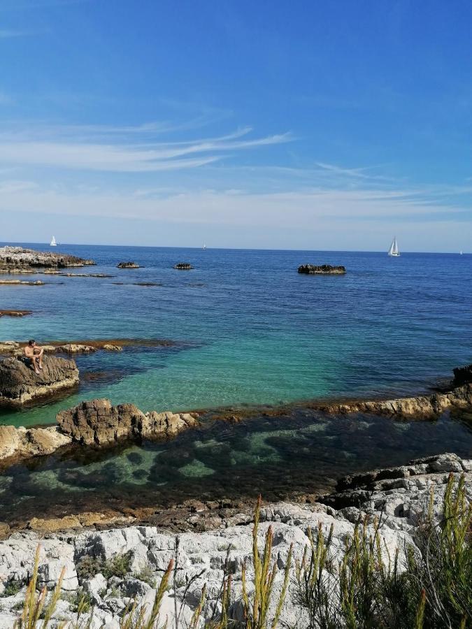 Antinea Apartment Le Cannet Bagian luar foto